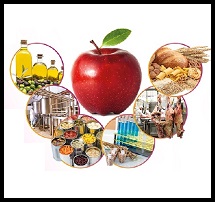 Food industry2