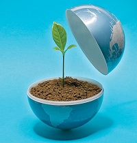 environment2